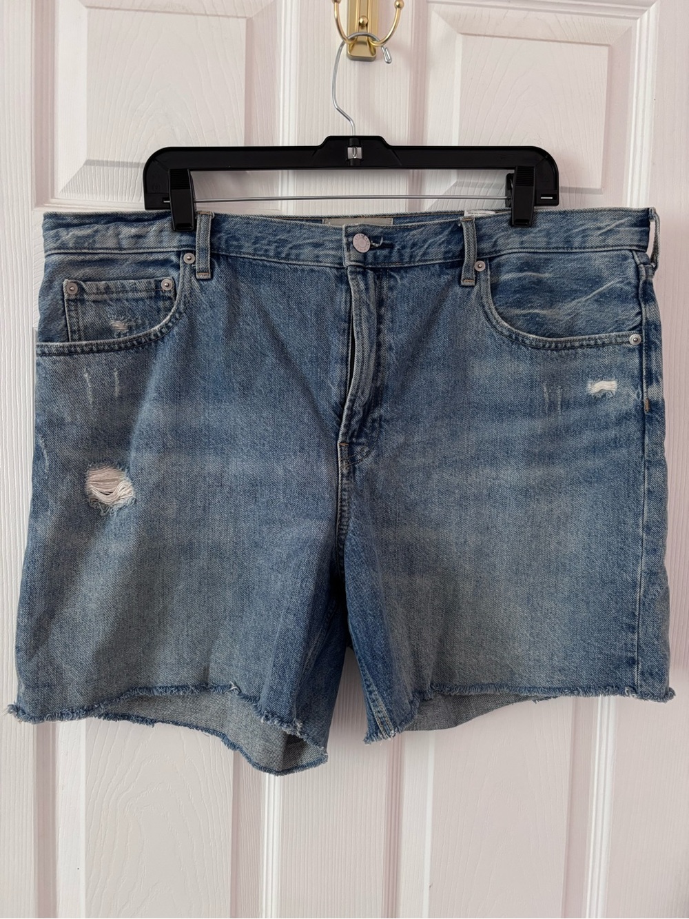 Everlane The Denim Short High Rise Raw Hem Organic Cotton Sz 33 Distressed